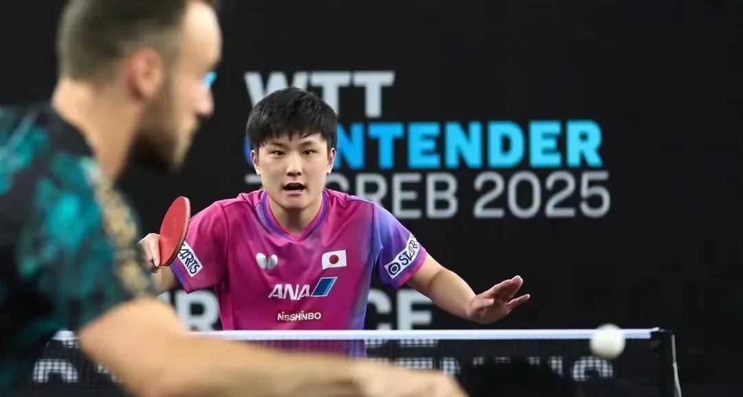 奥地利队碾压韩国队,张本智和高光表现 奥地利队碾压韩国队,张本智和高光表现