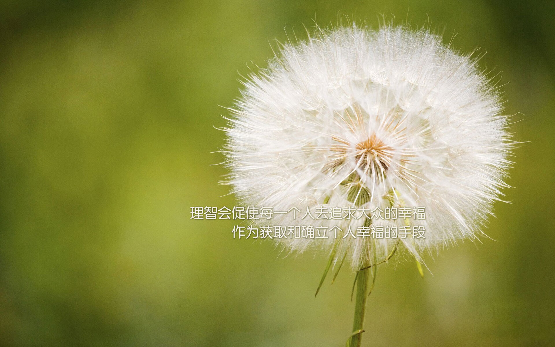 开云sport-十字门神前，个人辉煌与集体叹息，当奥纳纳的满分评分照亮克罗地亚的十字路口