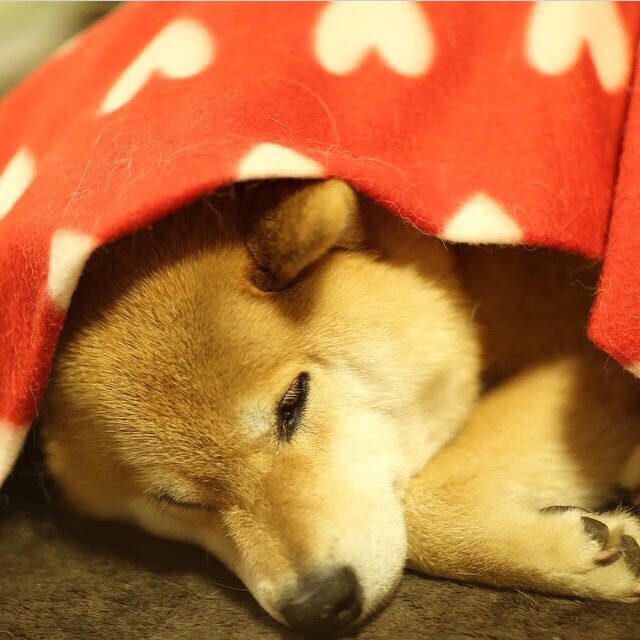 开云体育-2026世界杯之夜，当文班亚马的掌心托起足球的轨迹