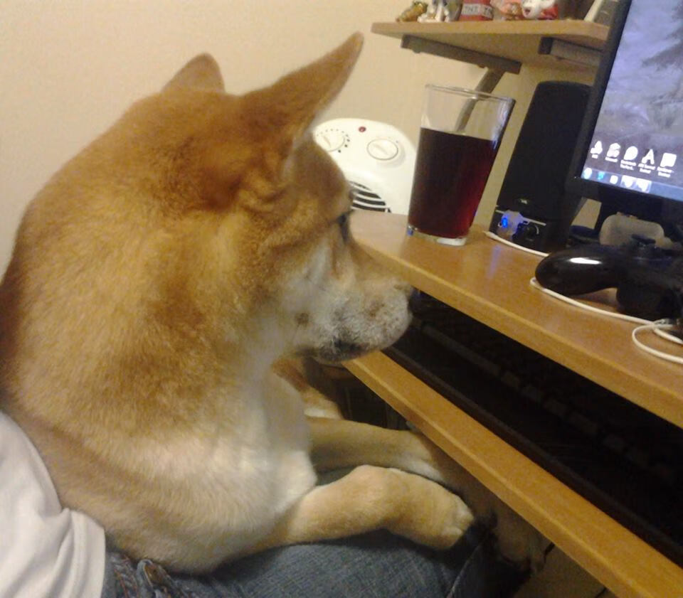 绿茵审判官,阿什拉夫双响炮,几内亚提前终结沙特悬念