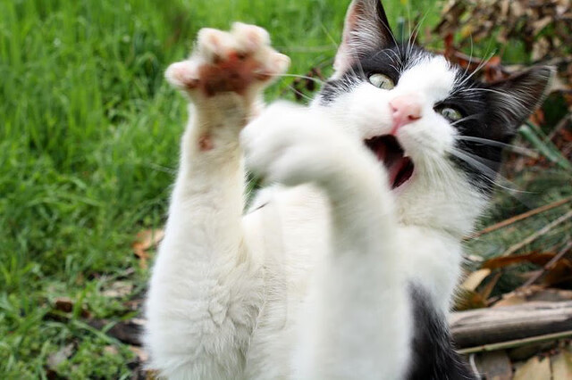 石中剑出鞘，斯通斯在欧冠决赛之夜的沉默主宰