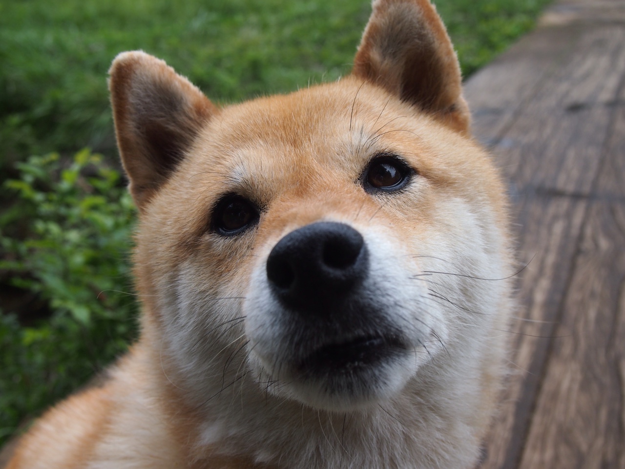 孤月照雪，意甲焦点战夜，范弗利特一球定乾坤