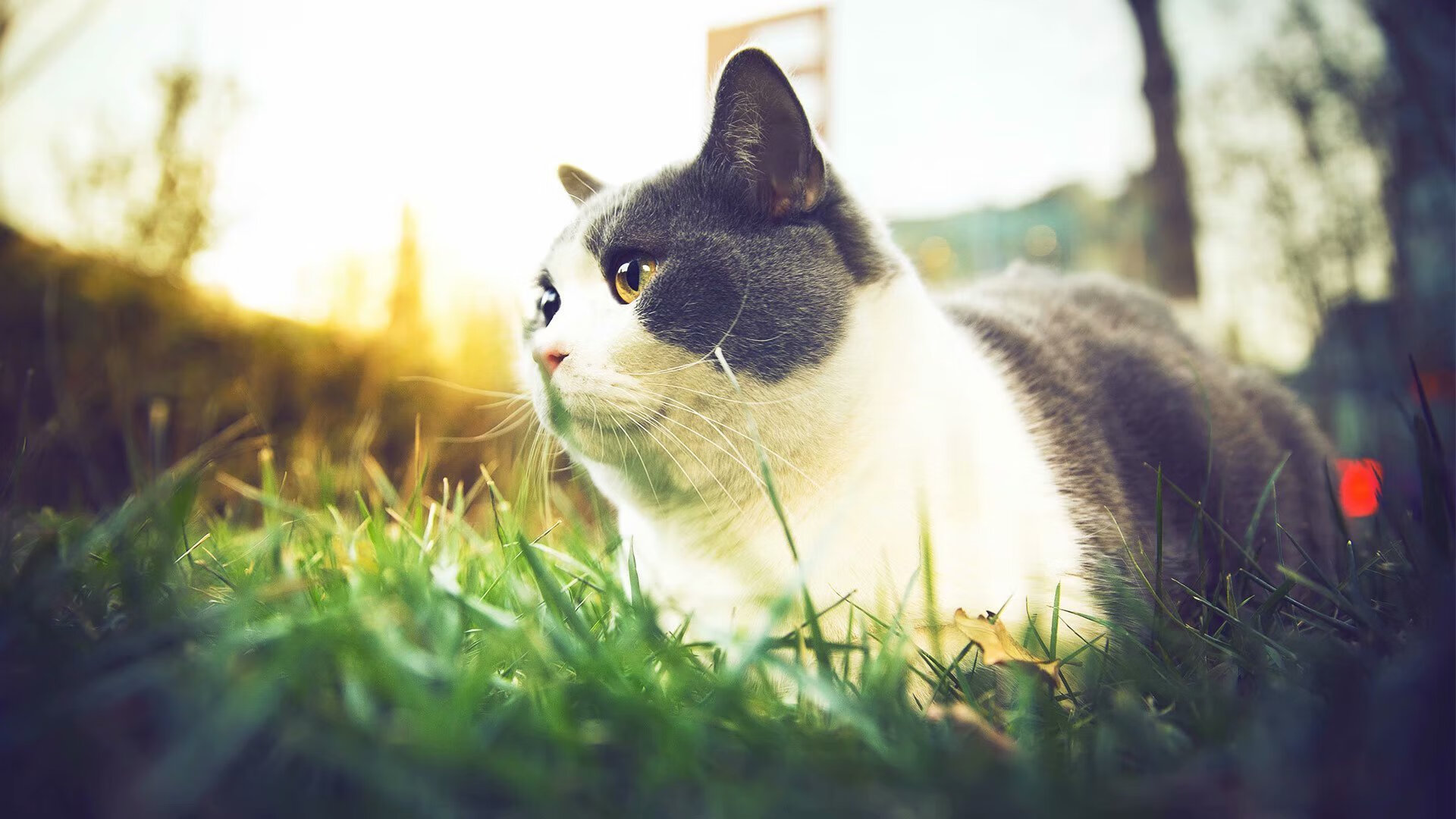 冰山之下是滚烫的岩浆,米切尔的稳定撑起广厦,单节雪崩式攻防拉开山西