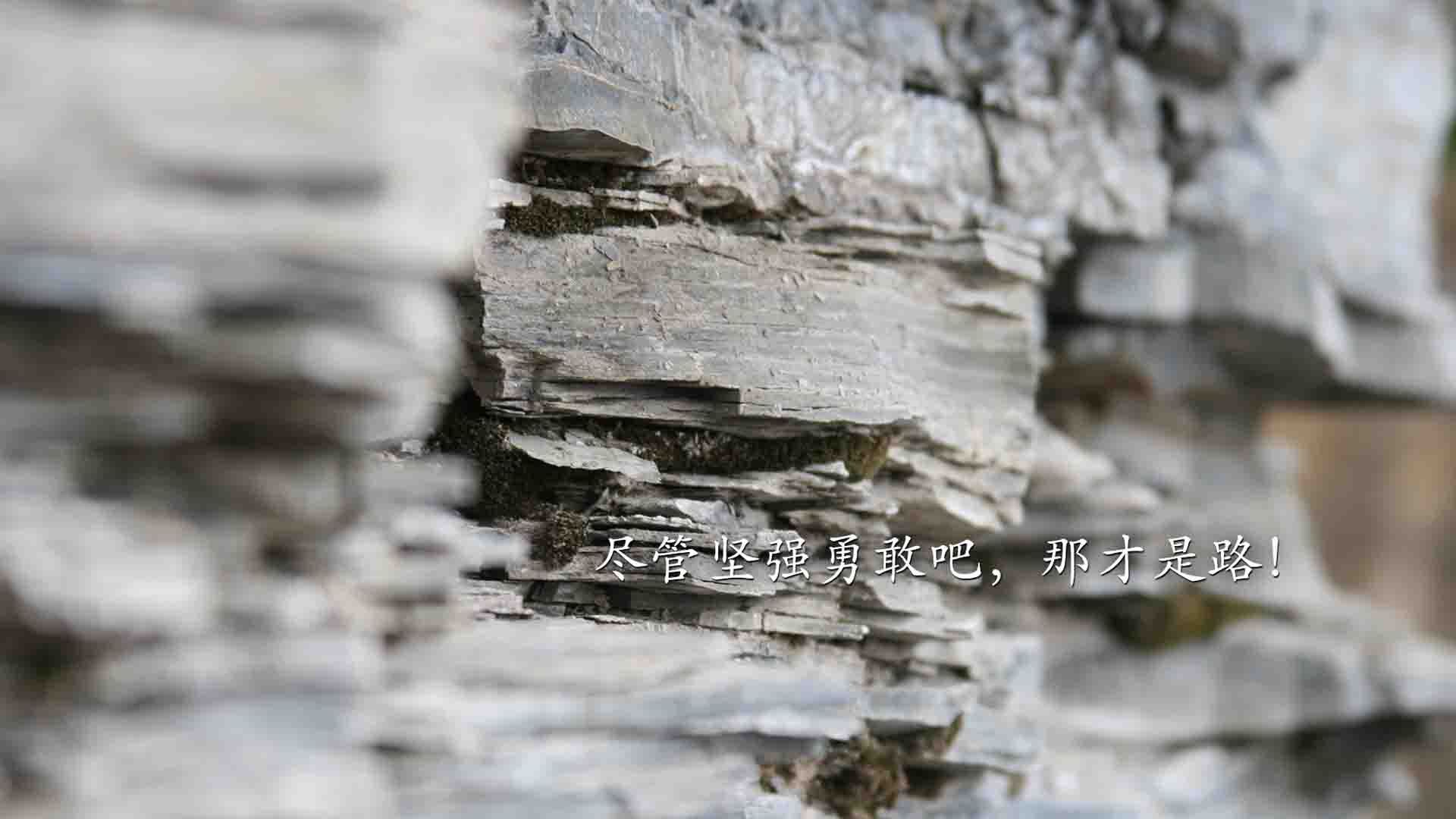 引擎与利刃,两座孤岛的制胜法则