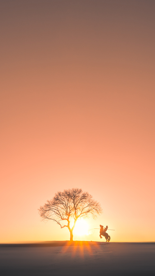 开云体育APP下载-不是昙花一现，欧文一剑封喉，德甲争冠夜见证新王诞生