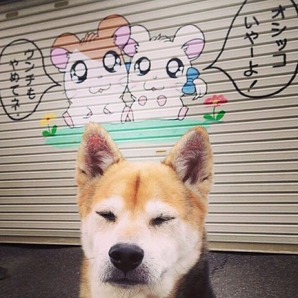 开云体育-主宰命运之战，保罗关键火力全开，掘金胜雄鹿保住生机