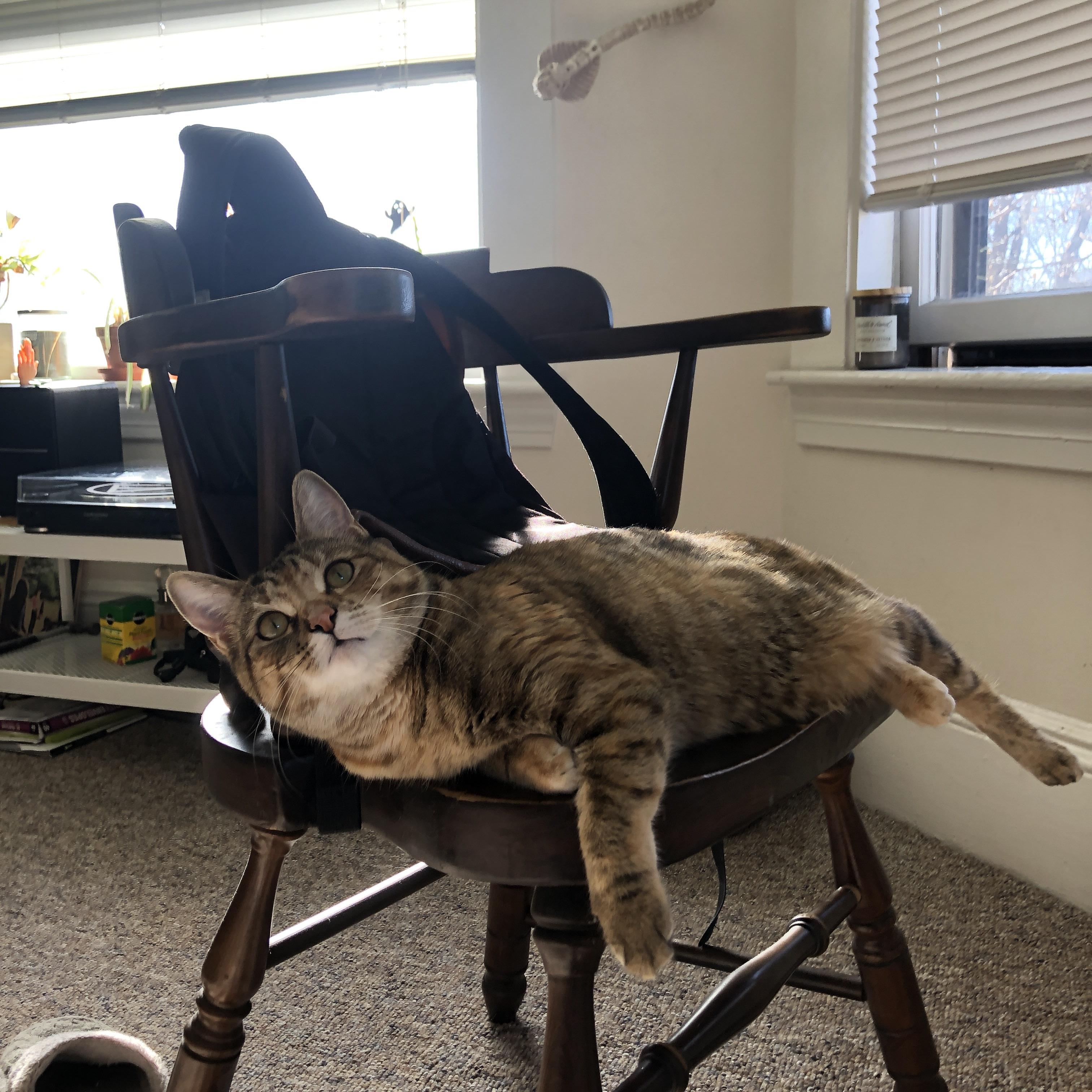 冰封火焰,曼城如何用希腊盾牌,锁死马丁内利的巴西利刃