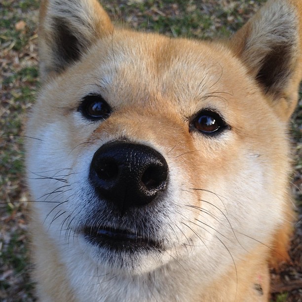 从沉默到轰鸣，哈登关键球艺术击穿凯尔特人，猛龙稳守胜利高地