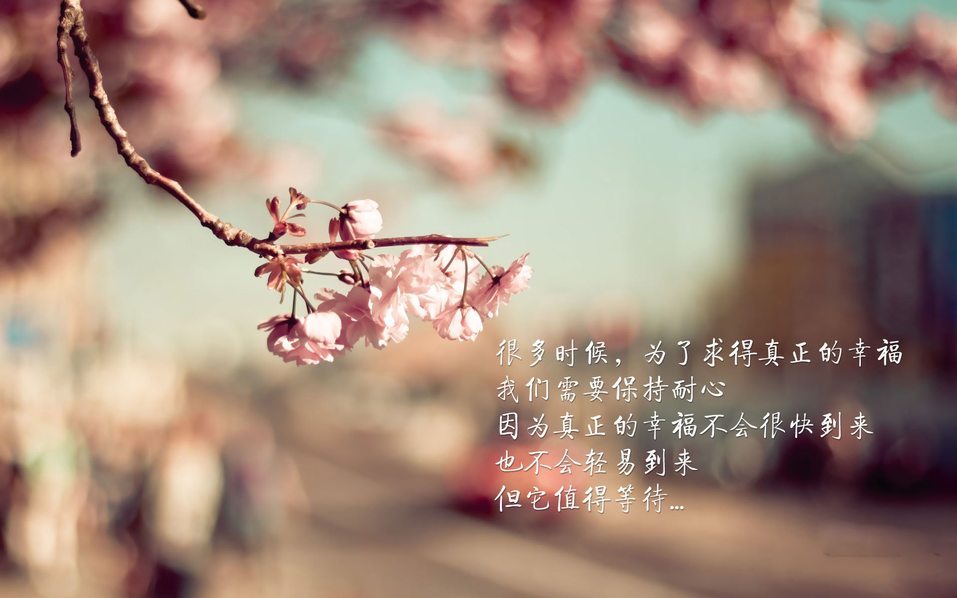 墨尔本之夜，当铁律被改写，巴雷拉以唯一之名，刺破葡萄牙的黄金海