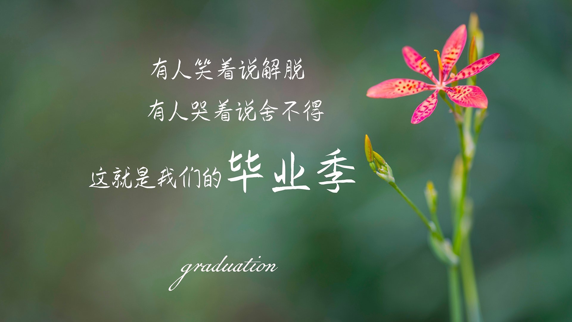 以下是为您构建的唯一性文章