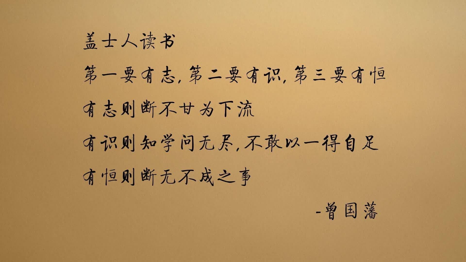 蓝武士的迷宫,巴雷拉如何用一把手术刀杀死2026世界杯F组的最大悬疑
